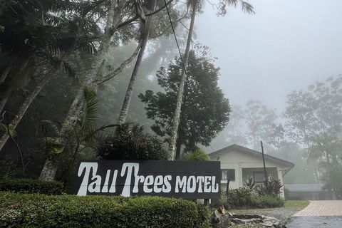 Tall Trees Motel - Holiday Cairns 4