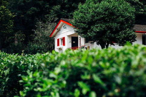 Tall Trees Motel - Holiday Cairns 3
