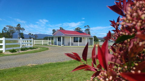 Little Sunnyside Accommodation - Holiday Cairns 1