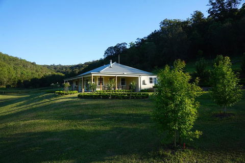 Gypsy Willows - Holiday Cairns 3