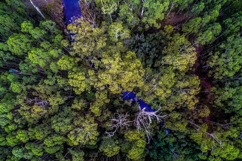 Saintys Creek Cottage - Holiday Cairns 4