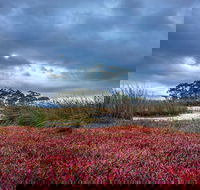 Saintys Creek Cottage - Holiday Cairns
