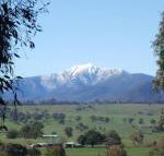 Off Mountain Accommodation - Holiday Cairns