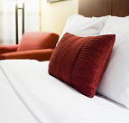 Alpha Hotel Motel - Holiday Cairns