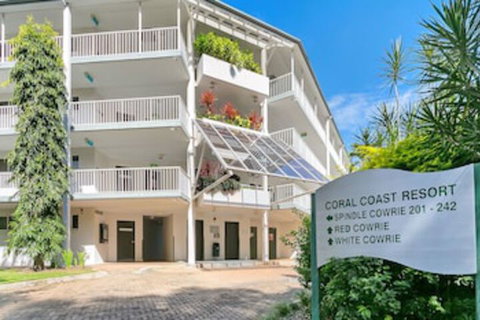214 Spindle Cowrie - Holiday Cairns 0