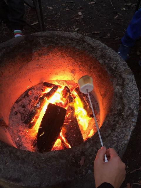 WA Wilderness - Holiday Cairns 1