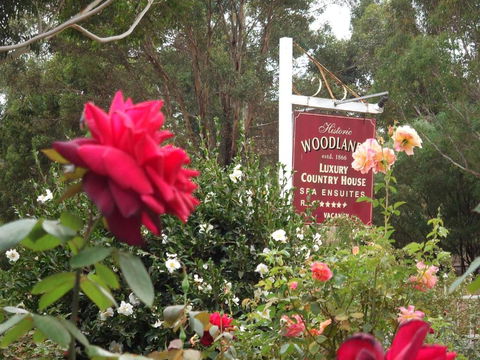 Woodlands Of Bridgetown B & B - Holiday Cairns 5