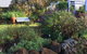 Chestnut Brae Farmstay - thumb 4