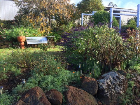 Chestnut Brae Farmstay - Holiday Cairns 4