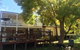 Chestnut Brae Farmstay - thumb 5