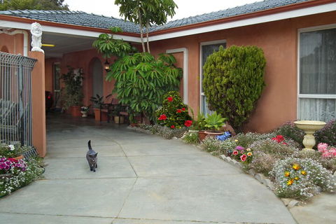 The Spanish Lodge And B&B - Holiday Cairns 6