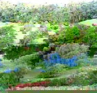 The Acreage BB - Holiday Cairns