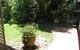 Palm Cove Rainforest Cottage - thumb 2