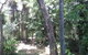 Palm Cove Rainforest Cottage - thumb 1