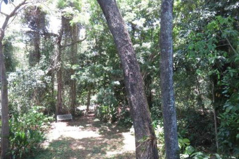 Palm Cove Rainforest Cottage - Holiday Cairns 1