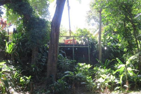 Palm Cove Rainforest Cottage - Holiday Cairns 3
