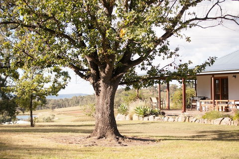 Audrey Wilkinson Vineyard - Holiday Cairns 2