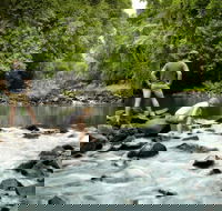 Sharlynn by the River - Holiday Cairns