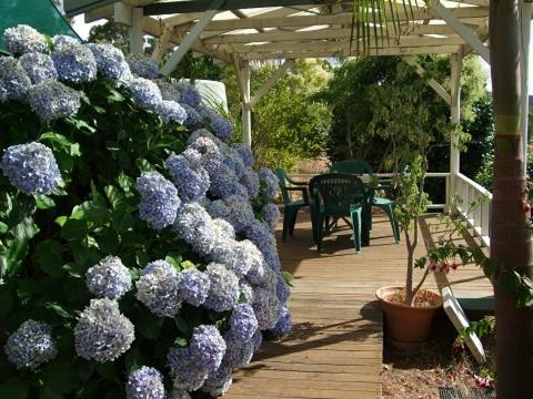 Nannup Riverview Cottage - Holiday Cairns 3