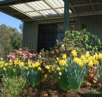 Nannup Riverview Cottage - Holiday Cairns