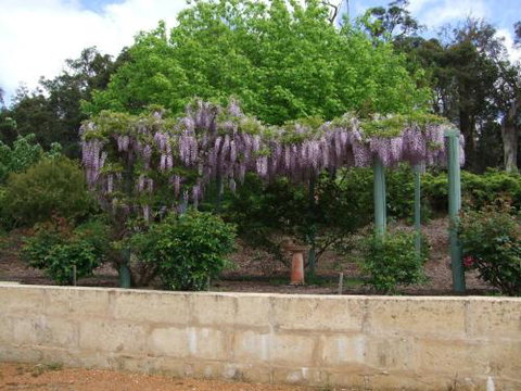 Nannup Riverview Cottage - Holiday Cairns 5