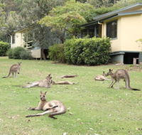 Depot Beach Cabins - Holiday Cairns