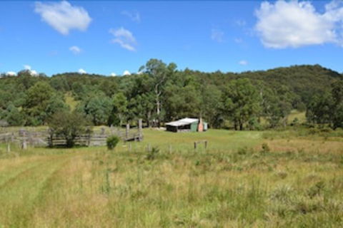 Four Bull Hut - Holiday Cairns 4