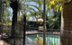 The Palms At Palm Cove - thumb 3