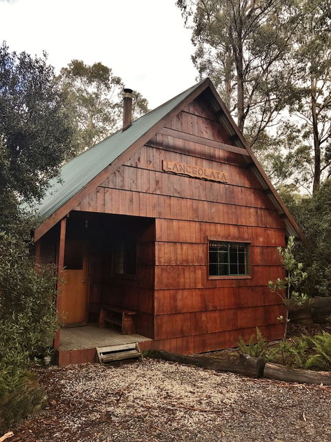Cradle Mountain Highlanders Cottages - Holiday Cairns 4
