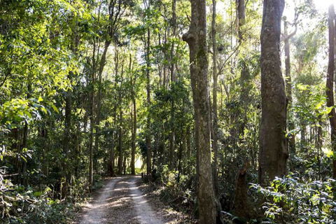 Rosewood Estate - Holiday Cairns 1