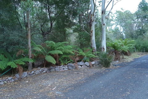 Roland B&B - Holiday Cairns 4