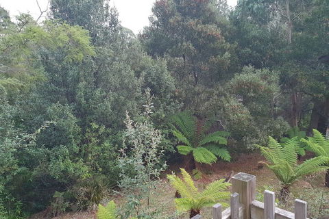 Roland B&B - Holiday Cairns 1