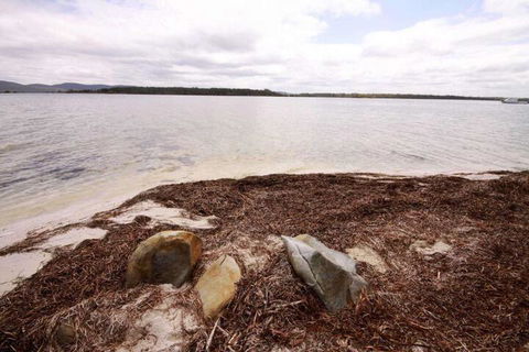 Berringar 71 Green Point - Holiday Cairns 4