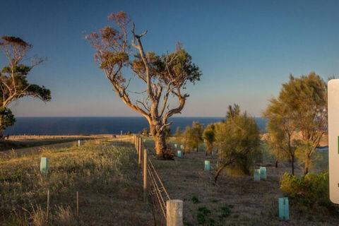 Fleurieu Coastal Retreat Lot 150 Myponga Beach Road - Holiday Cairns 2