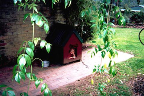 Kurrajong Trails And Cottages - Holiday Cairns 1