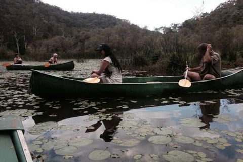 Kurrajong Trails And Cottages - Holiday Cairns 3