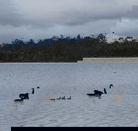Lake Yalleena Nature Retreat - Holiday Cairns