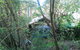 The Black Cockatoo Nannup - thumb 1