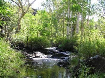 Mt Hart Homestead - Holiday Cairns 4