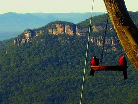 Valley Of The Waters B&B - Holiday Cairns 3