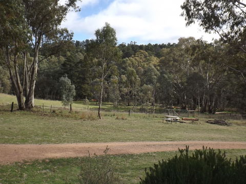 Taralee Orchards - Holiday Cairns 1