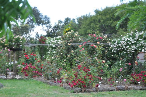 Fairy Wren Cottage Country To Coast Retreat - Holiday Cairns 6