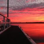 Fairy Wren Cottage Country To Coast Retreat - Holiday Cairns 0