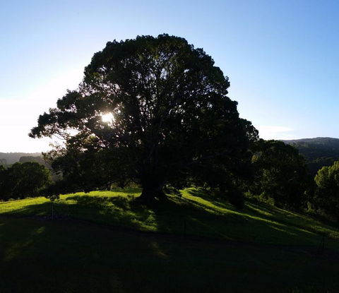 Valleydale Cottage - Holiday Cairns 1