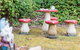 Serenity Merricks North Cottage - thumb 5