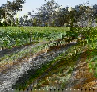 Renovated Cottage Aberdare Hunter Valley - Holiday Cairns