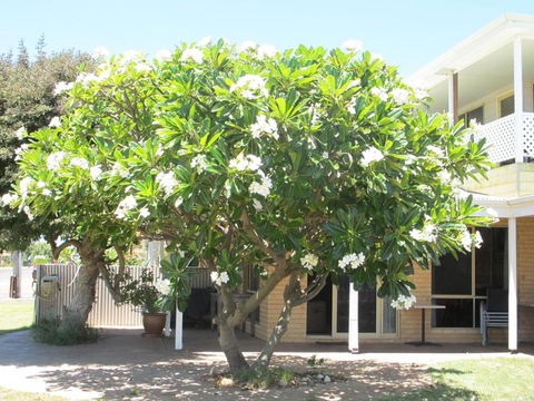 Kalbarri Riverfront Unit - Holiday Cairns 3
