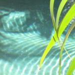 Bli Bli QLD Holiday Cairns