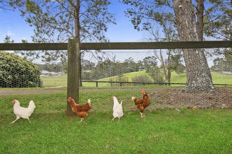 TINY HOME......BIG Views - Holiday Cairns 6