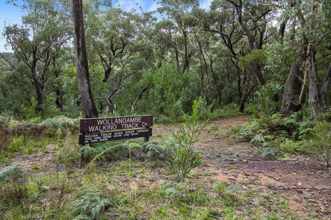 THE TEACHERS COTTAGE - Holiday Cairns 5